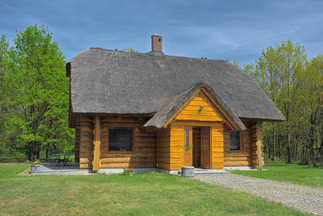 Dom Pod Sosnami Villa Gryżyna Exteriör bild