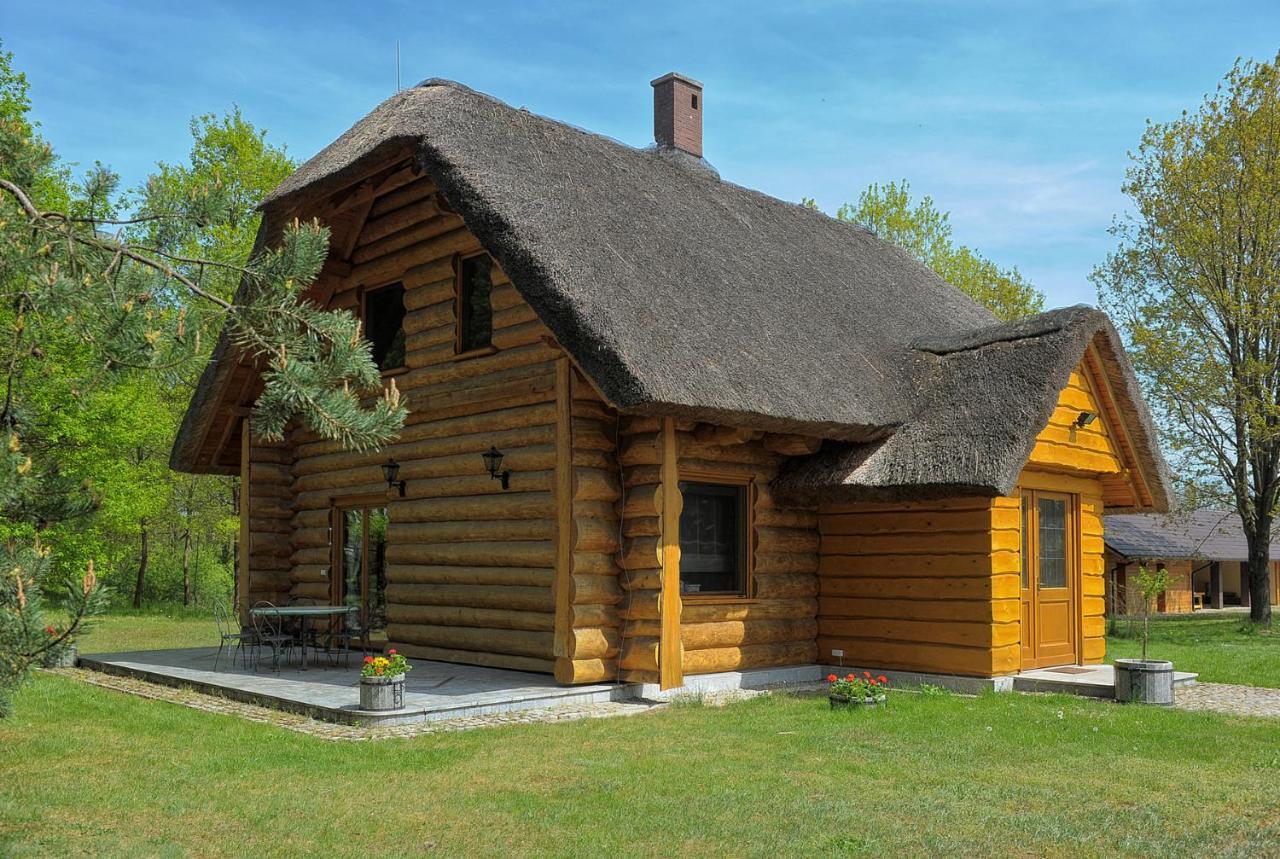 Dom Pod Sosnami Villa Gryżyna Exteriör bild