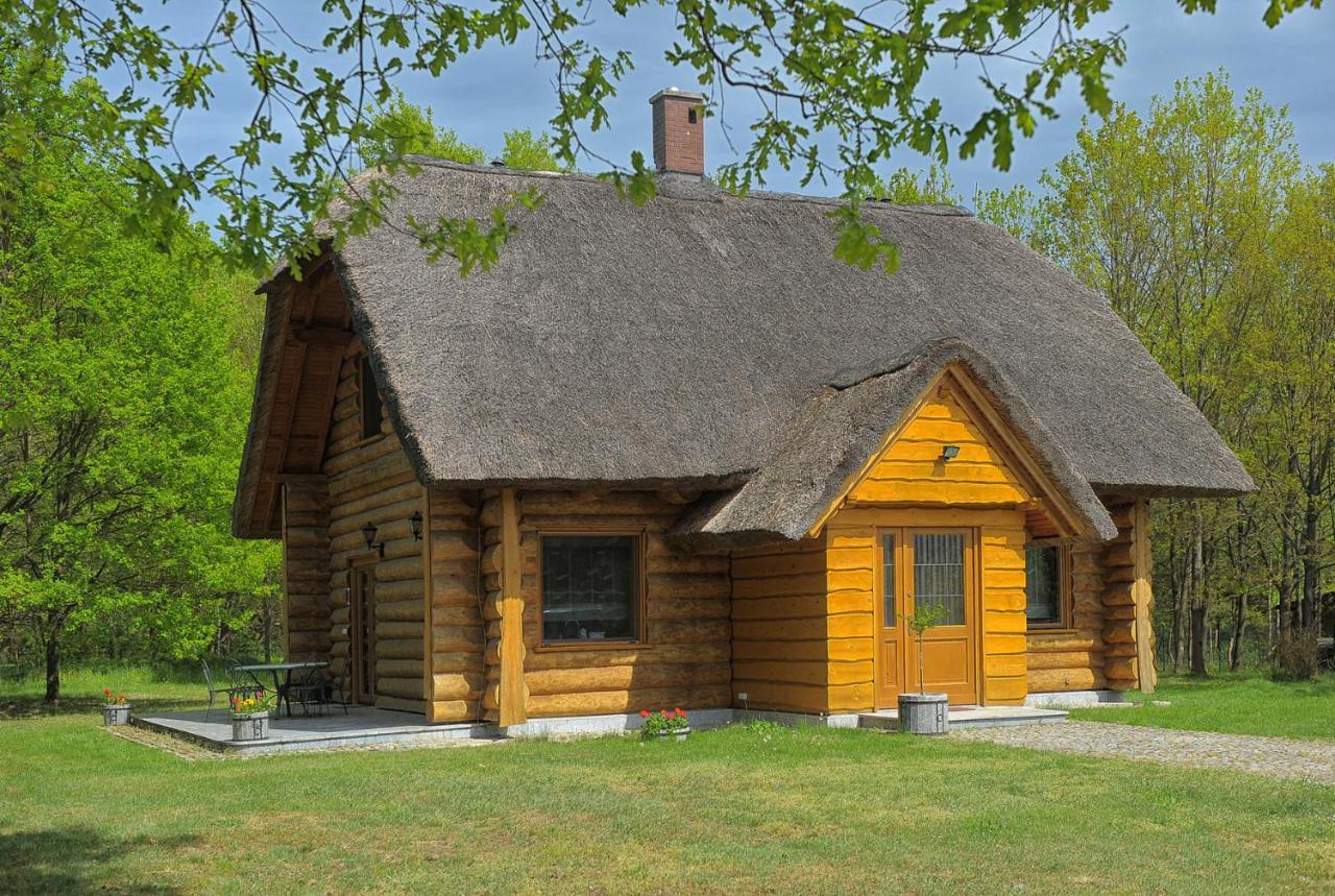 Dom Pod Sosnami Villa Gryżyna Exteriör bild