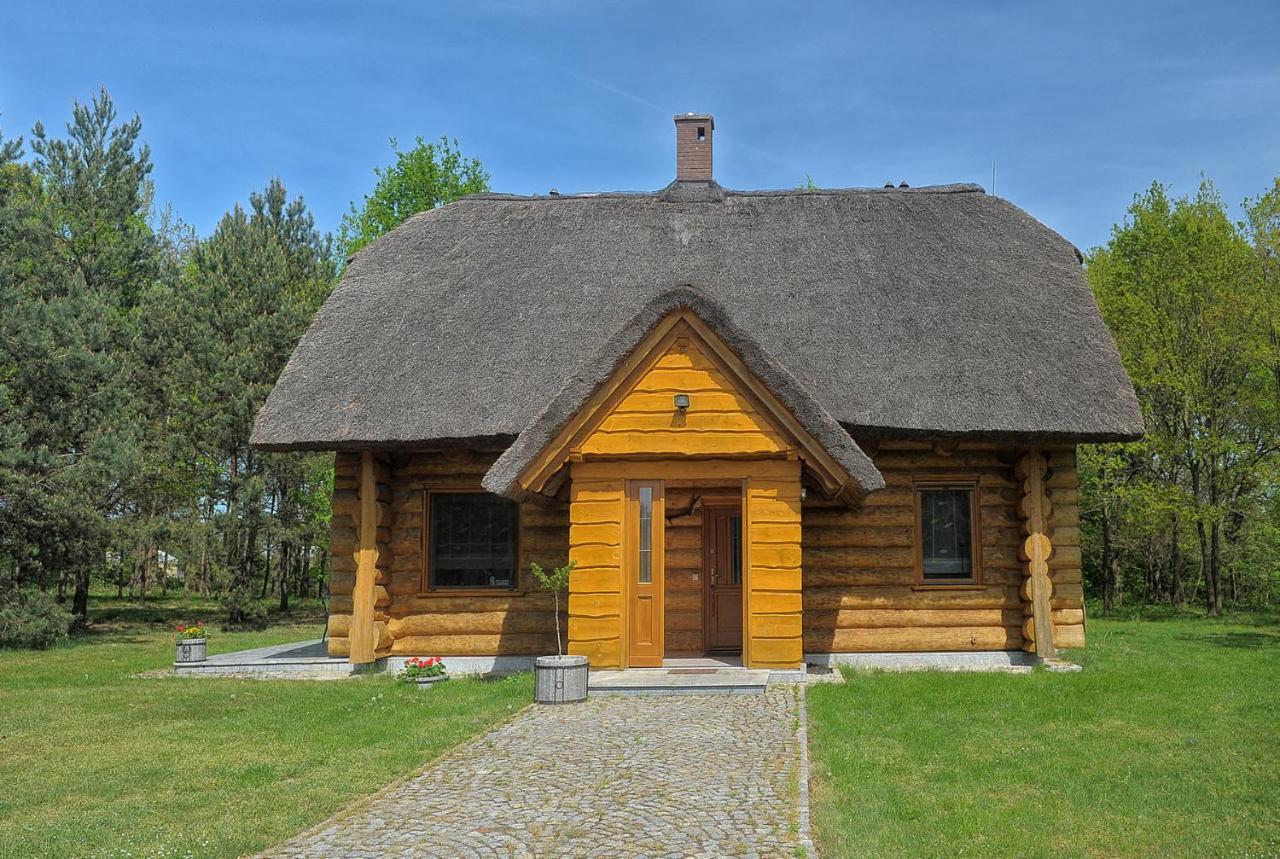Dom Pod Sosnami Villa Gryżyna Exteriör bild