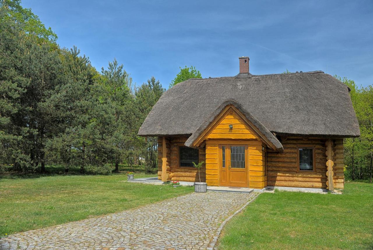 Dom Pod Sosnami Villa Gryżyna Exteriör bild